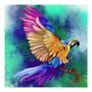 Colorful Parrot Poster Watercolor