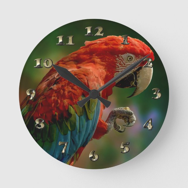 Colorful Parrot Round Clock (Front)