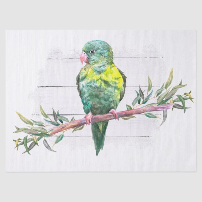 Colorful Parrot Tropical Watercolor Tissue Paper (Front)
