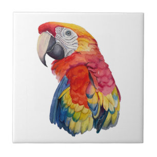 Colorful Parrot Watercolor Illustration Ceramic Tile