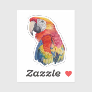 Colorful Parrot Watercolor Illustration Sticker