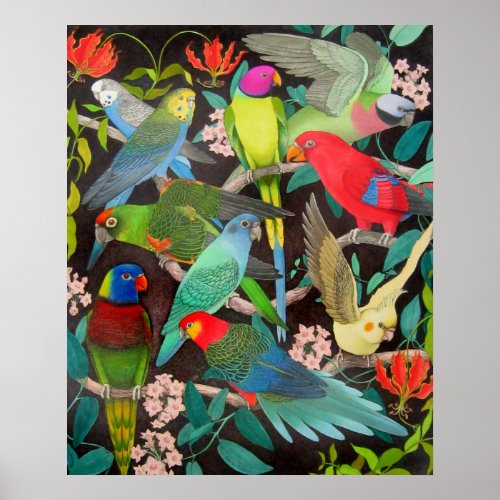 Colorful Parrots and Parakeets Poster