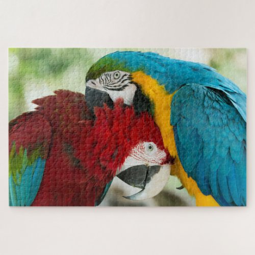 Colorful Parrots Jigsaw Puzzle