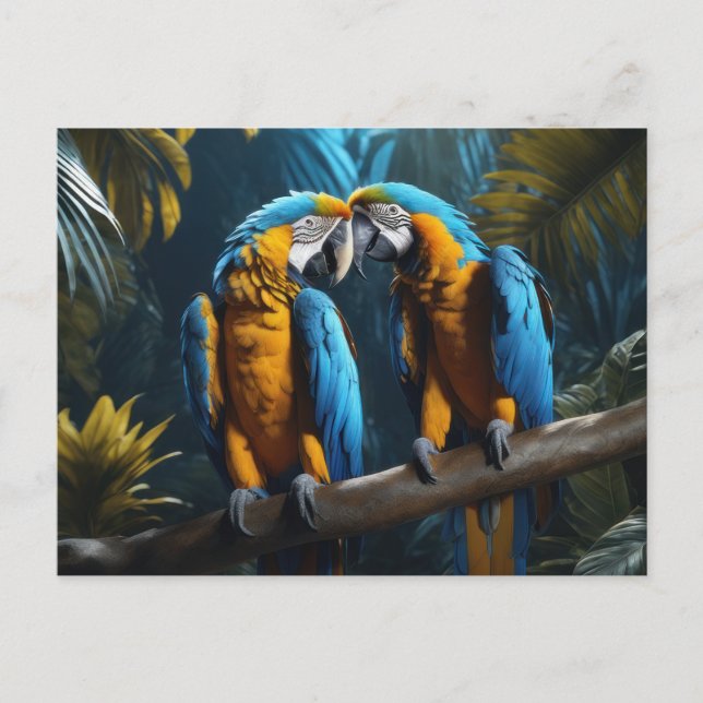 Colorful Parrots Postcard (Front)