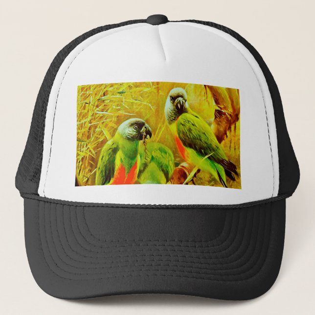 Colorful Parrots Trucker Hat (Front)