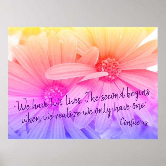 Colorful Pastel Flowers Daisies Confucius Quote Poster (Front)