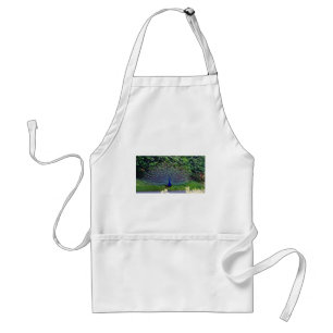 Colorful Pattern Bird Peacock Art Indian Destiny Adult Apron