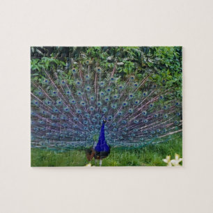 Colorful Pattern Bird Peacock Art Indian Destiny Jigsaw Puzzle