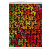 Colorful Pattern Creation "Butterflies" (Front)