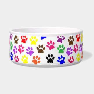 Colorful Paw Print Bowl