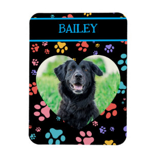 Colorful Paw Prints Dog Photo Magnet