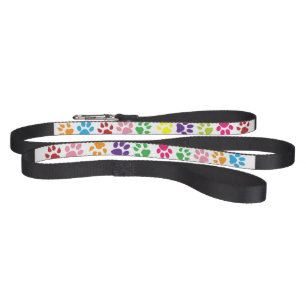 Colorful Paw Prints on Dog leash