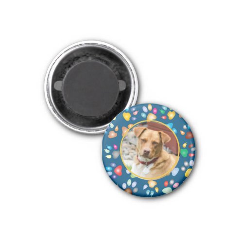 Colorful Paw Prints Pattern Magnet