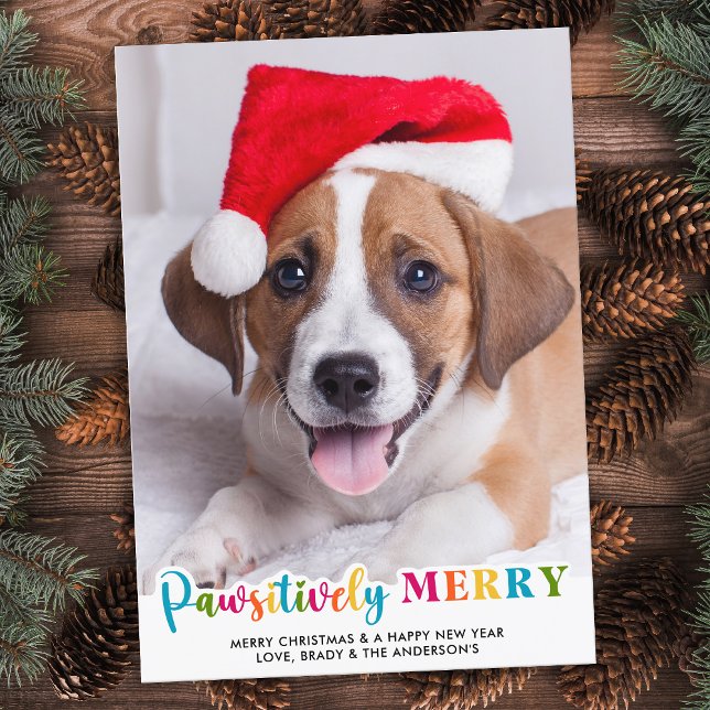 Colorful Pawsitively Merry Custom Pet Dog Photo Holiday Card (Creator Uploaded)