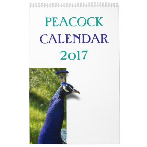 Colorful Peacock 2017 Calendar