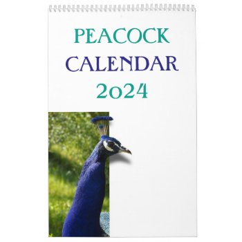 Colorful Peacock 2024 Calendar by sunbuds at Zazzle
