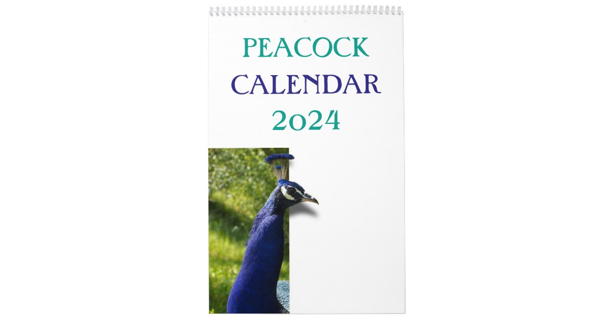 Colorful Peacock 2024 Calendar Zazzle