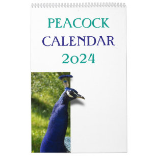 Colorful Peacock 2025 Calendar