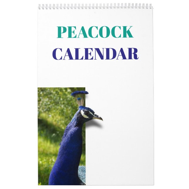 Colorful Peacock 2026 Calendar (Cover)