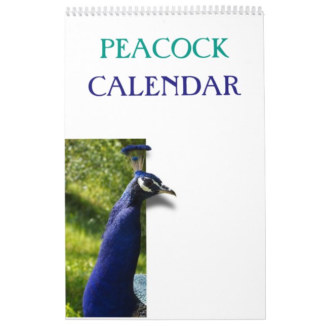 Colorful Peacock 2026 Calendar (Cover)