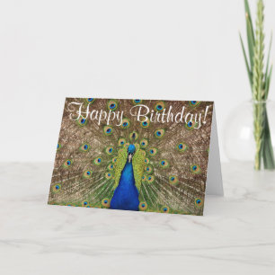 Colorful peacock birthday greeting card