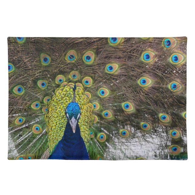 Colorful Peacock Cloth Placemats (Front)