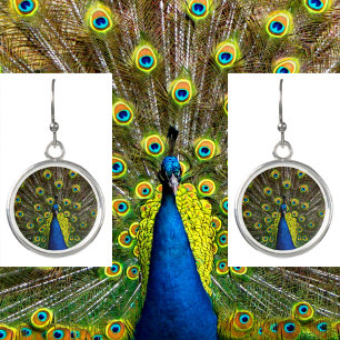 Colorful peacock earrings