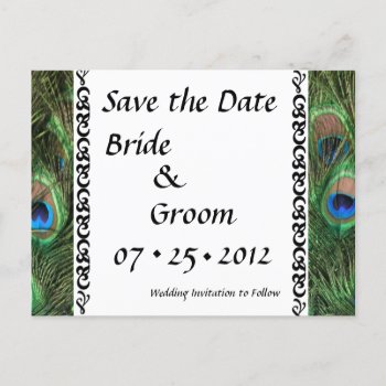 Colorful Peacock Eyes Wedding Save The Date Announcement Postcard by ChristyWyoming at Zazzle