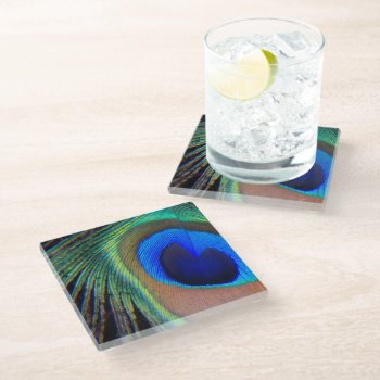 Colorful Peacock Feather Eyespot Glass Coaster by northwestphotos at Zazzle