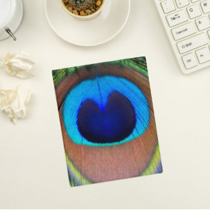 Colorful Peacock Feather Eyespot Mini Binder