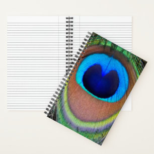 Colorful Peacock Feather Eyespot Notebook