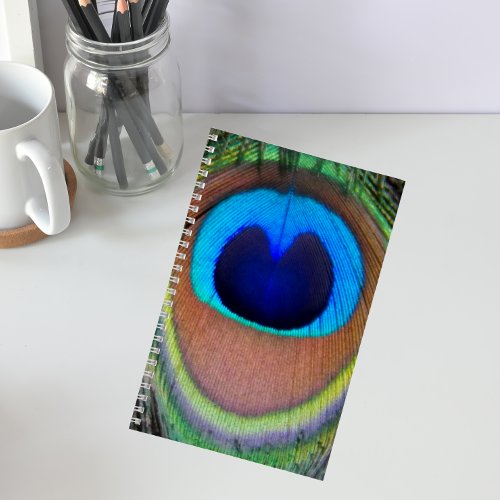 Colorful Peacock Feather Eyespot Notebook