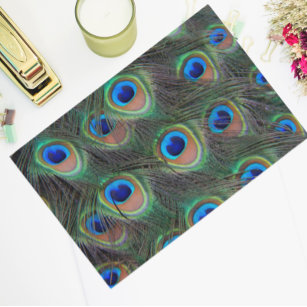 Colorful Peacock Feather Eyespot Pattern Tissue Paper