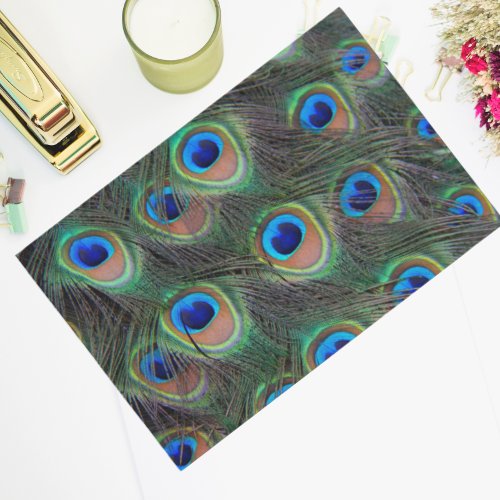 Colorful Peacock Feather Eyespot Pattern Tissue Paper