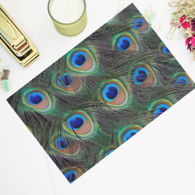 Colorful Peacock Feather Eyespot Pattern Tissue Paper (In Situ)