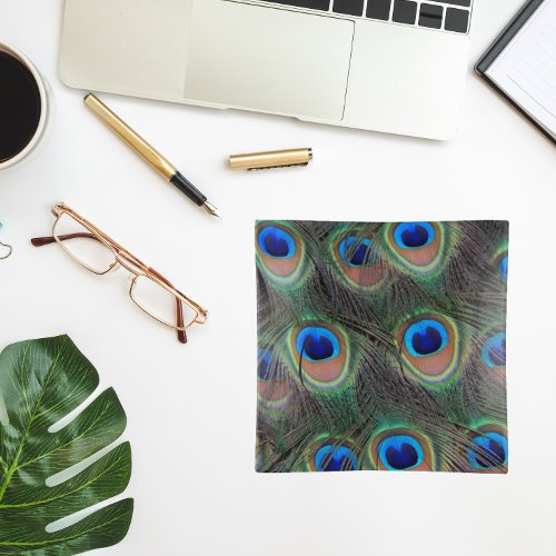 Colorful Peacock Feather Eyespot Pattern Trinket Tray