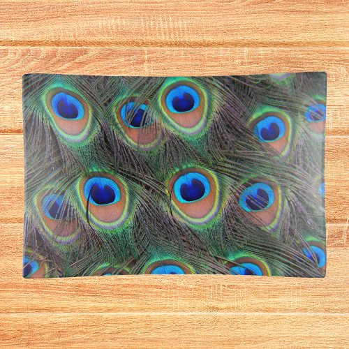 Colorful Peacock Feather Eyespot Pattern Trinket Tray