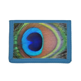 Colorful Peacock Feather Eyespot Trifold Wallet