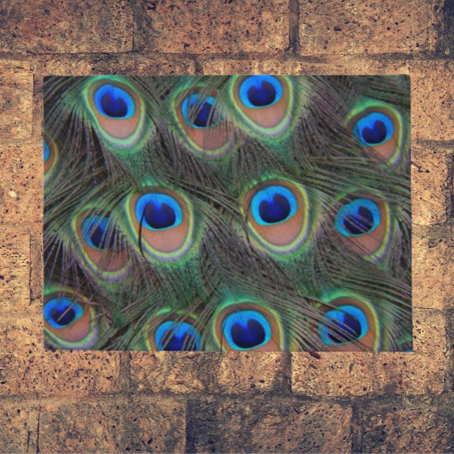 Colorful Peacock Feather Eyespots Pattern Doormat (In Situ)