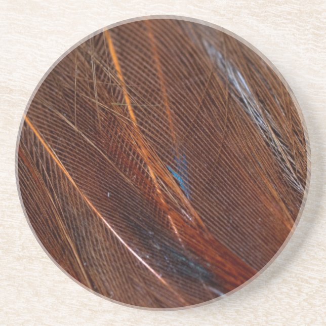 Colorful Peacock Feather in Detail Coaster (Front)
