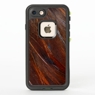 Colorful Peacock Feather in Detail