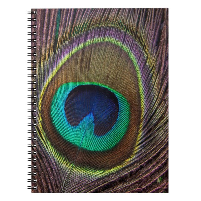 Colorful Peacock Feather Personalized Notebook (Front)