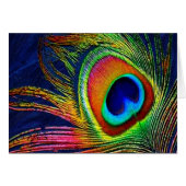 Colorful Peacock Feather Print (Front Horizontal)