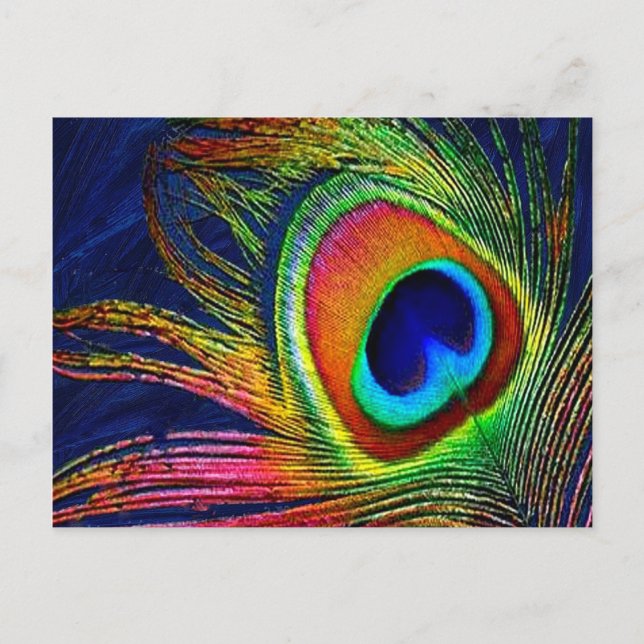 Colorful Peacock Feather Print Postcard (Front)