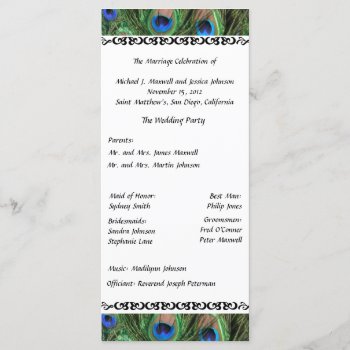 Colorful Peacock Feather Wedding Program by ChristyWyoming at Zazzle
