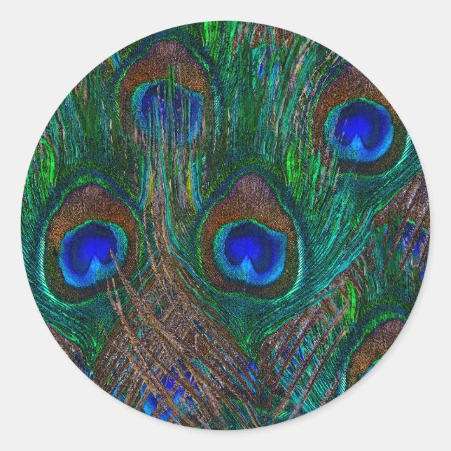 Colorful Peacock Feathers Etching Style Classic Round Sticker (Front)