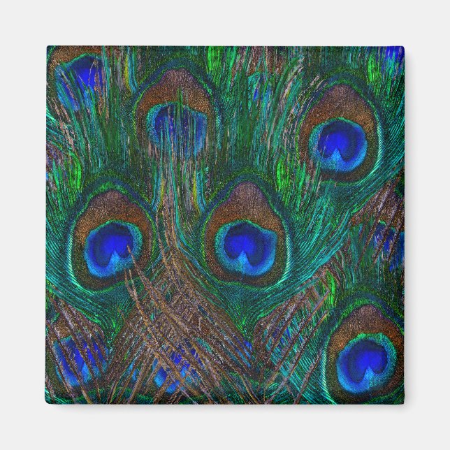 Colorful Peacock Feathers Etching Style Magnet (Front)