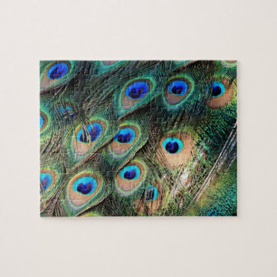 Colorful Peacock Feathers Jigsaw Puzzle