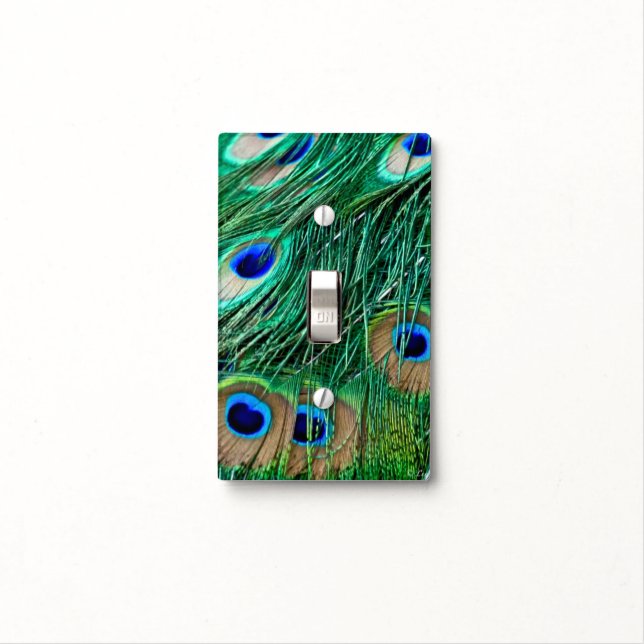 Colorful Peacock Feathers Light Switch Cover (In Situ)