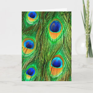 Colorful Peacock Feathers Print Card